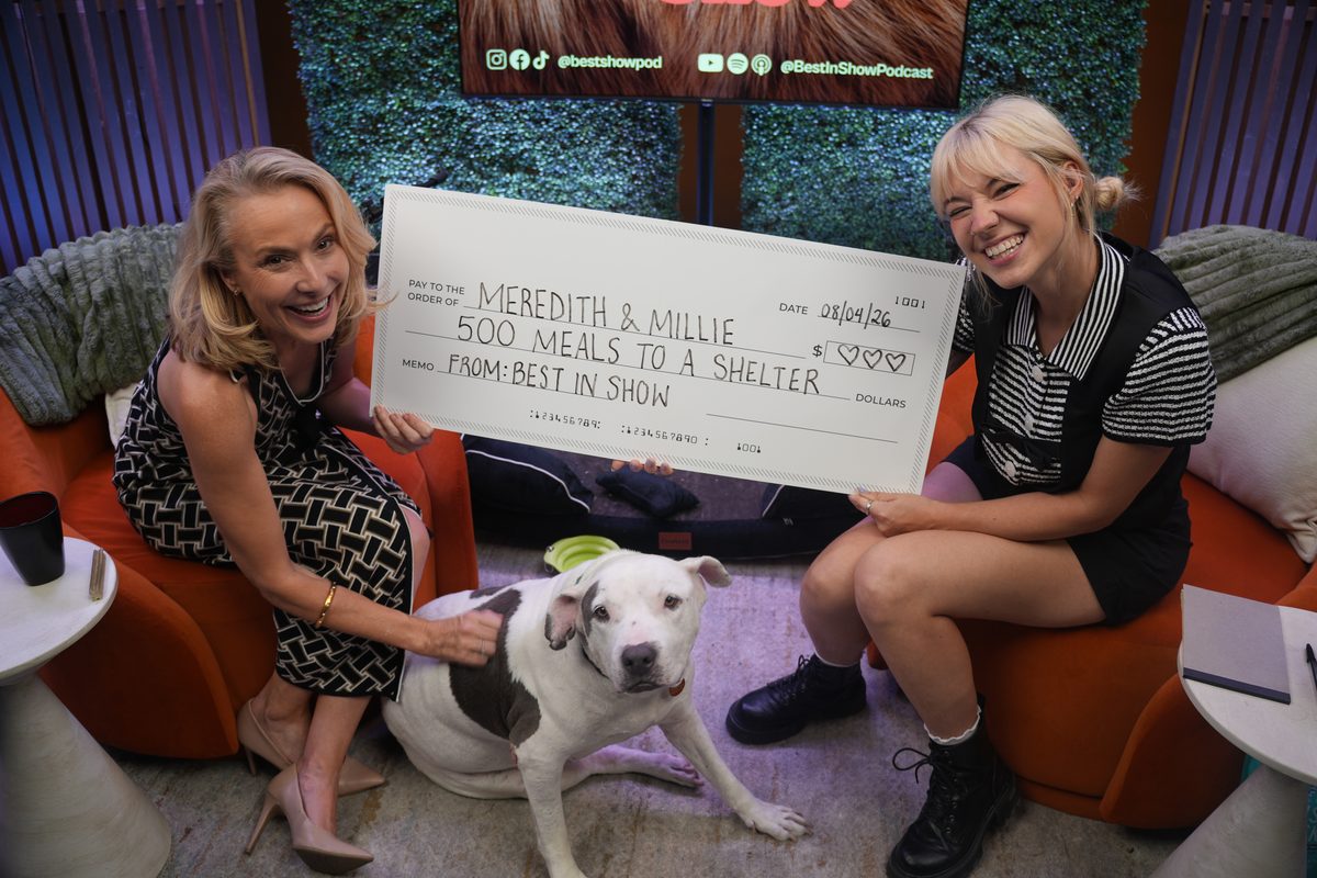 HomeLife Brands Debuts Premium Video Series Connecting Animals to Human Stories: BEST IN SHOW